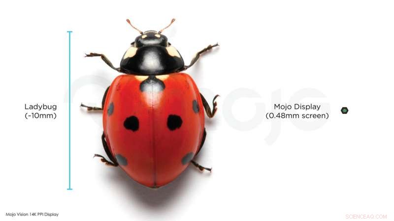 Mojo Vision Unveils Cutting-Edge Display Technology for Augmented Reality