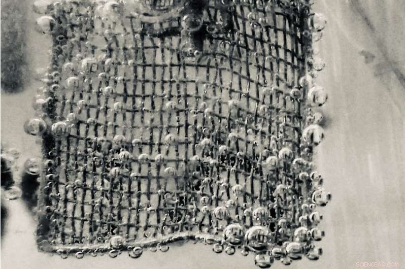 Magnetism: A Surprising Driver of the Hydrogen Economy