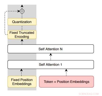 Unsupervised Paraphrasing Without Translation: A Novel Encoder‑Decoder Approach