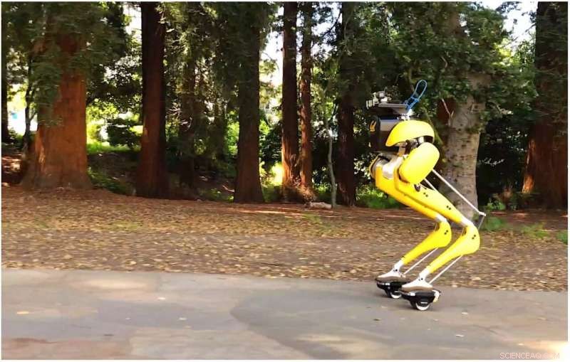 Cassie Cal Bipedal Robot Tours UC Berkeley Campus on HoverShoes