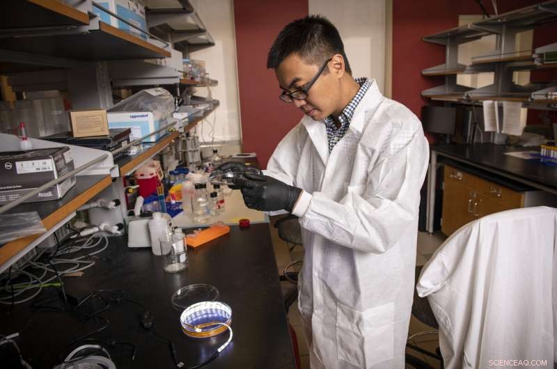 How Expansion Microscopy and Virtual Reality Unlock New Disease Prevention & Treatment Strategies