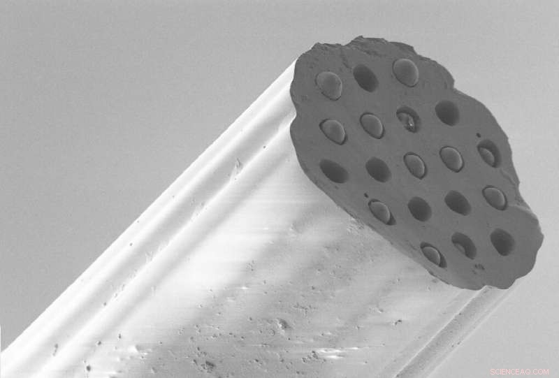 Hair‑Sized Probe Detects Lung Damage Deep Within