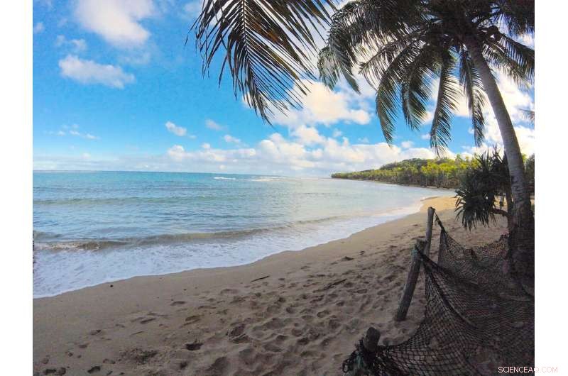 Blockchain‑Powered Time‑Banking System Quantifies Human Value