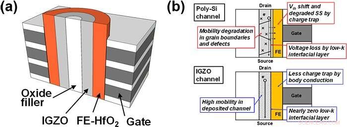 Revolutionizing FeFETs: IGZO Channels with Ferroelectric‑HfO₂ for High‑Capacity Memory