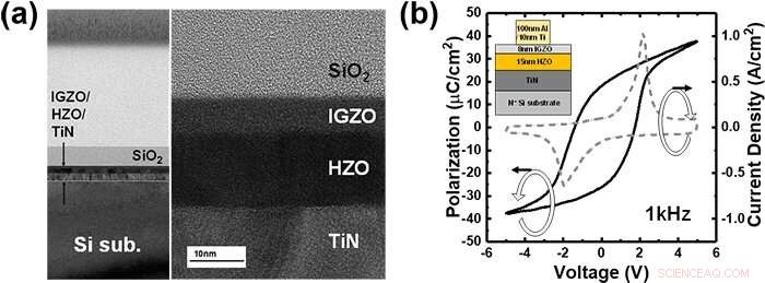 Revolutionizing FeFETs: IGZO Channels with Ferroelectric‑HfO₂ for High‑Capacity Memory