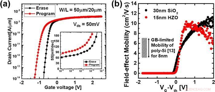 Revolutionizing FeFETs: IGZO Channels with Ferroelectric‑HfO₂ for High‑Capacity Memory