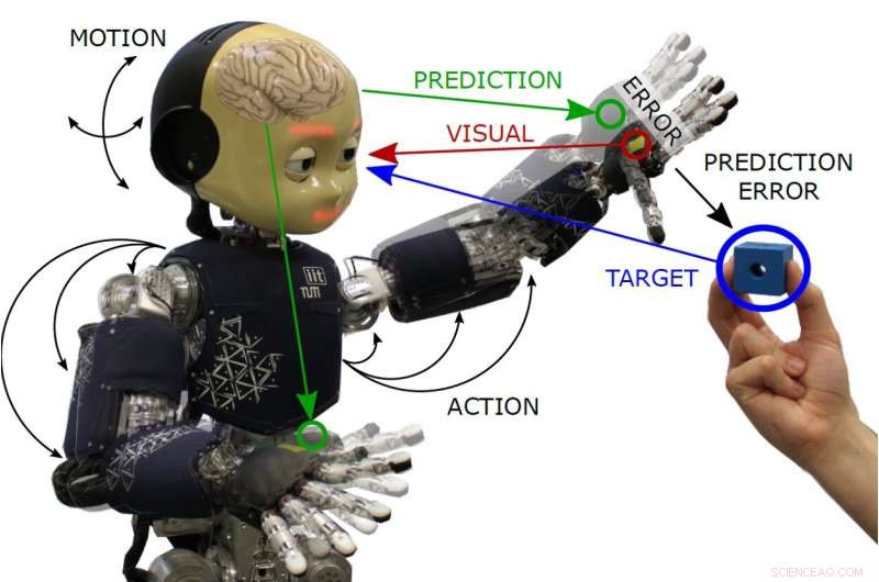 Enhancing Humanoid Robot Interaction through Active Inference-Based Body Perception