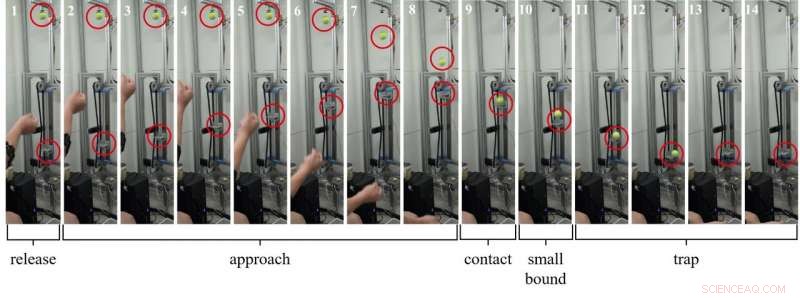 Robots Capture Balls Intuitively—No Coding Required