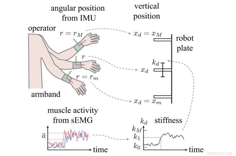 Robots Capture Balls Intuitively—No Coding Required