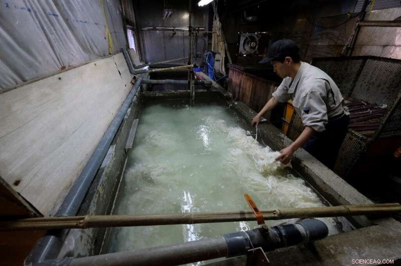 Japan s Washi Paper: How Modern Lifestyles Threaten a Timeless Craft