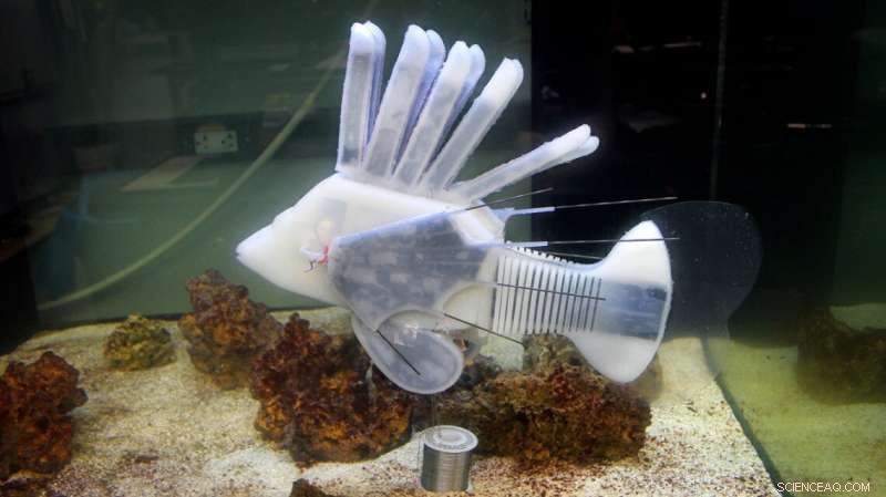 Aquatic Soft Robot Mimics Lionfish Using Innovative Circulatory System