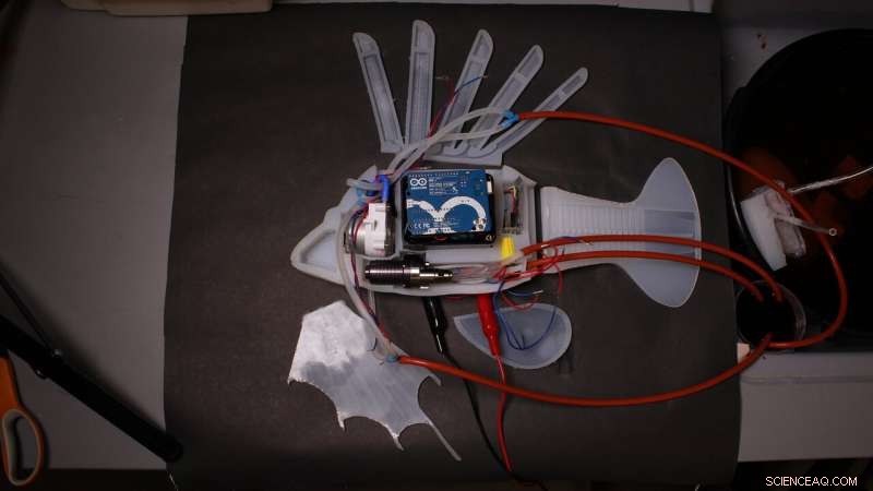 Aquatic Soft Robot Mimics Lionfish Using Innovative Circulatory System