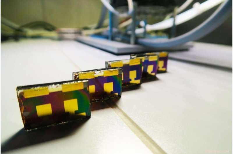 Lab-Validated Performance of Perovskite Solar Cells for Real-World Applications