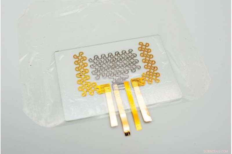 Revolutionary E‑Tattoo Delivers Accurate, Continuous Heart Monitoring for Days