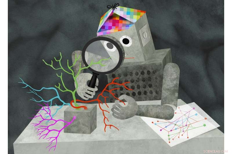 AI Recognizes Nerve Cells by Appearance, Advancing Brain Research