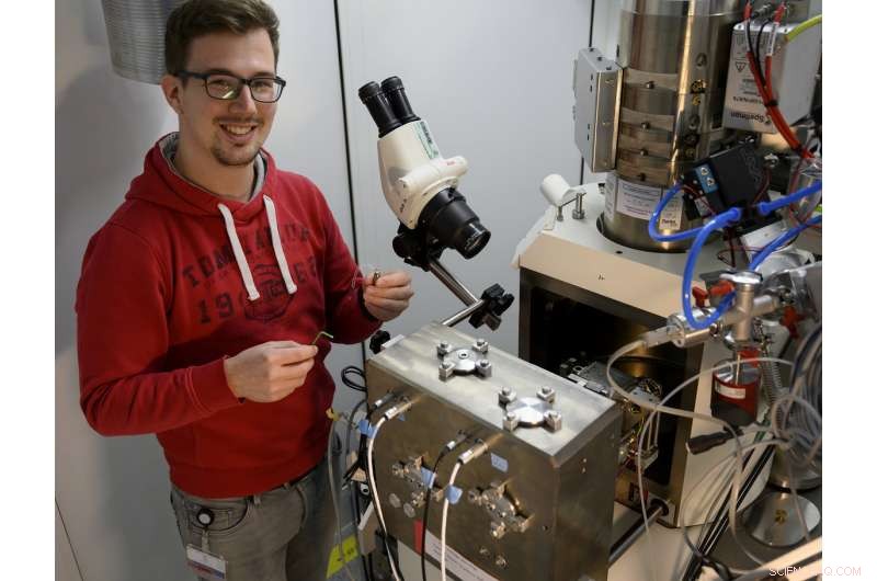 AI Recognizes Nerve Cells by Appearance, Advancing Brain Research