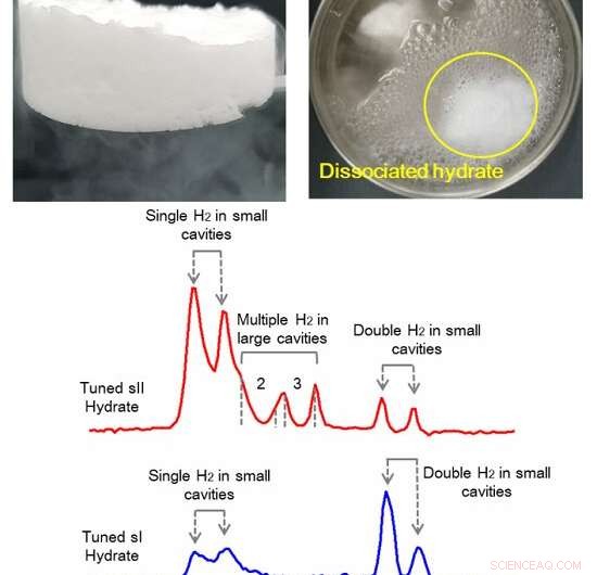 Harnessing Hydrogen-Natural Gas Hydrates for Sustainable Energy Storage