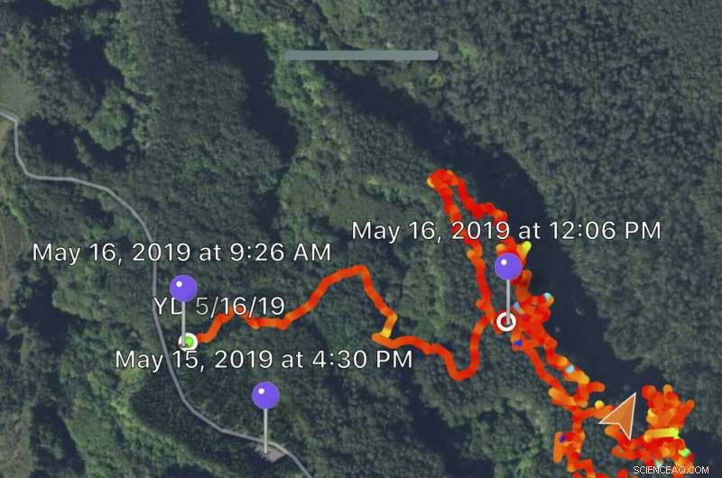 Advanced Technology Simplifies Wilderness Search for Missing Persons
