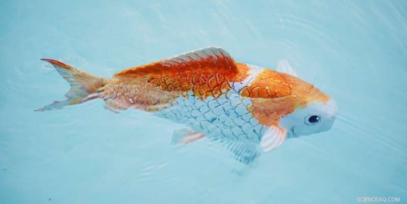 Engineering Students Create Realistic, Affordable Robotic Fish Under $200