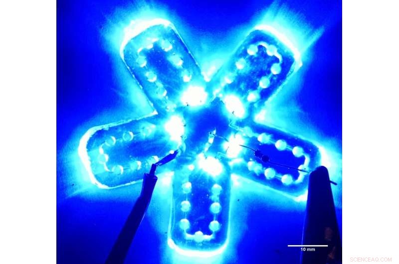 Engineered Bacteria Enable Robot Arm to Taste Chemicals for Precise Gripping