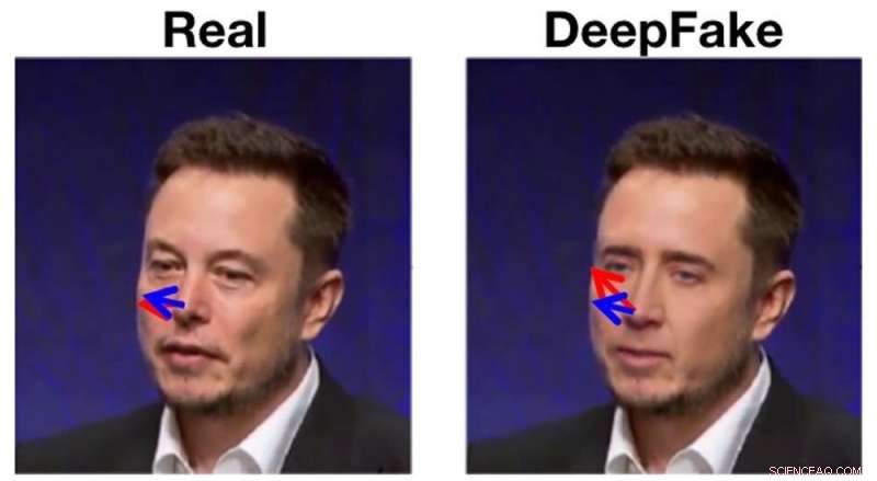 Detecting Deepfakes: Precise Analysis Provides a Shield Against Fabricated Videos