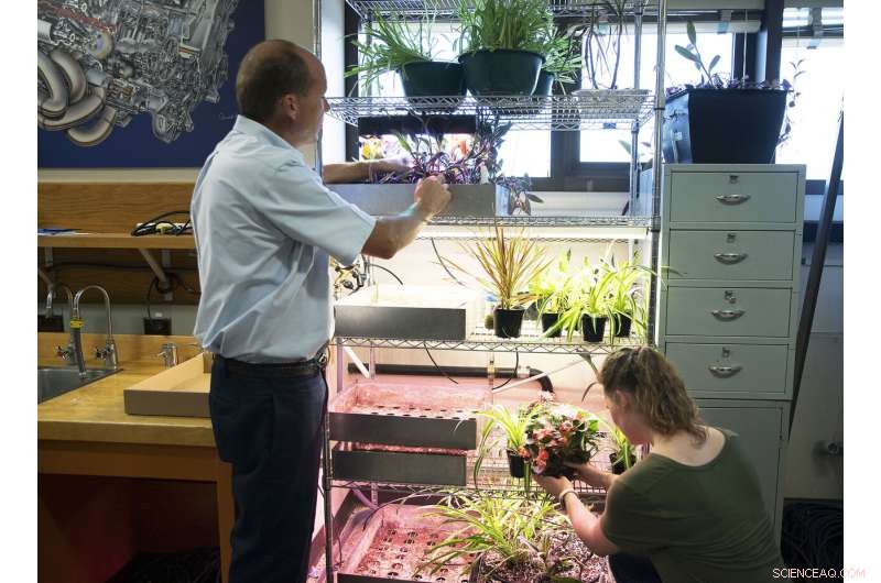 Biowall Interior Wall Brings Fresh Air to Homes of the Future