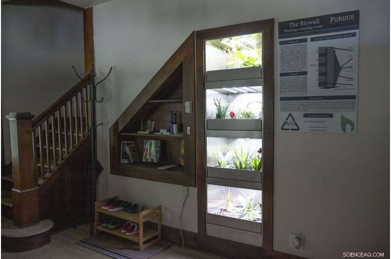 Biowall Interior Wall Brings Fresh Air to Homes of the Future