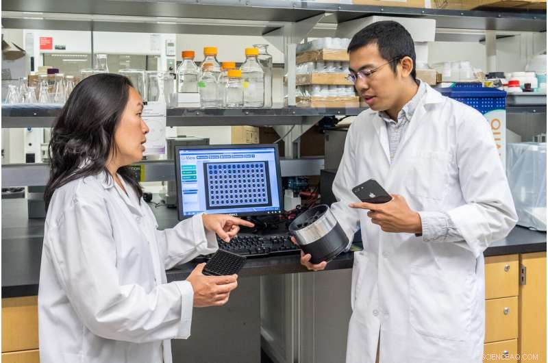 New Smartphone-Based Diagnostic Tool Enables Remote Rural Healthcare Testing