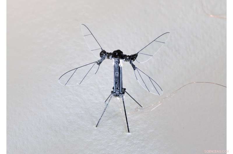 RoboBee Soars Solo: First Untethered Flight Achieved After Power Cord Removal