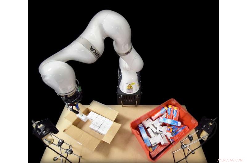 AI‑Driven Robotic Arm Revolutionizes Box Packing, Cutting Costs for Manufacturers