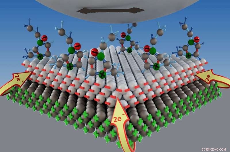 Smooth Sliding: How Tribometers Measure Wear in Water-Driven Bearings