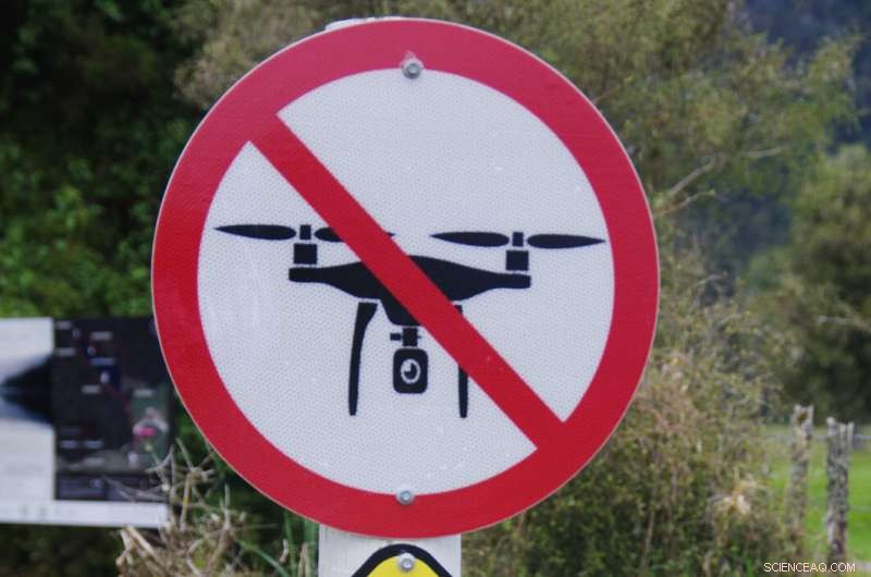 Evaluating Drone Strike Risks: A Novel Test Bench for Collision Impact Assessment