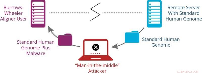 Sandia Researchers Discover Vulnerability in Open-Source Genomic Mapping Software