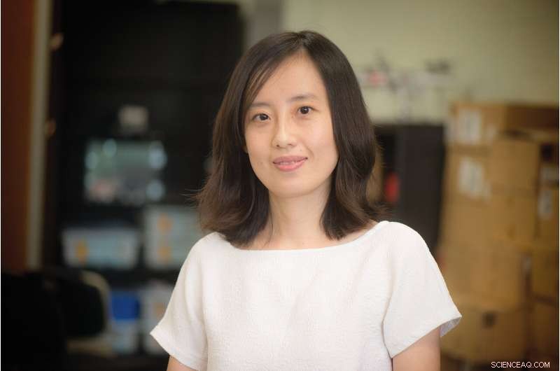 Unmanned Aerial Vehicles: Advancements, Applications, and Future Outlook