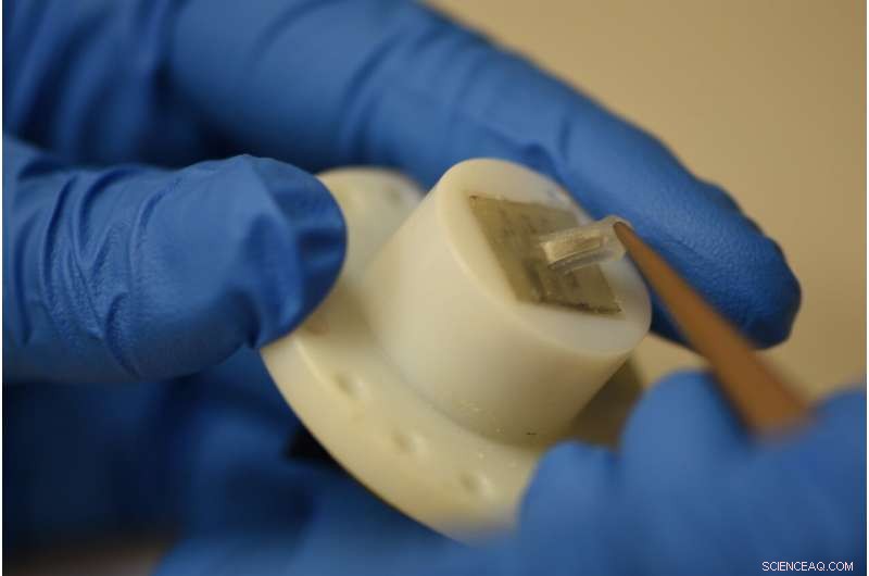 Bio‑Inspired Cupula for Precise Flow Sensing in Submersible Robots