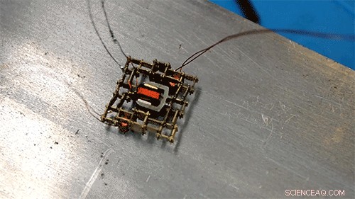 Miniature Motor Walks to Perform Tasks: MIT Breakthrough