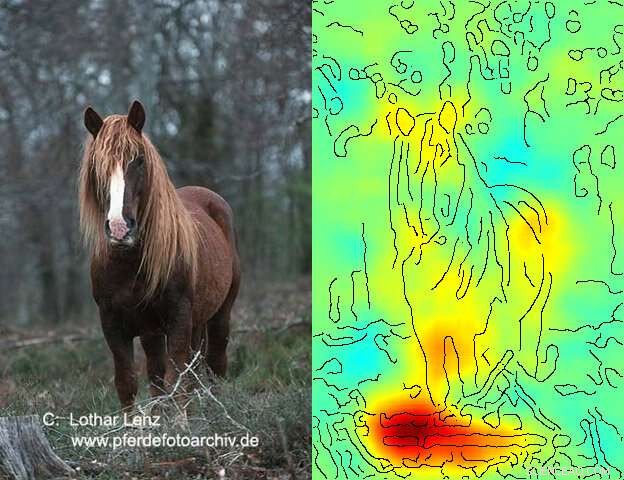 Inside Neural Networks: How AI Learns and Decides