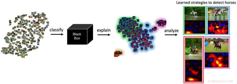 Inside Neural Networks: How AI Learns and Decides