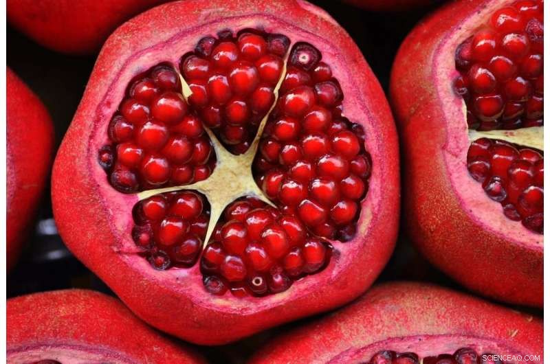 Massive Smartphone Network Discovers Hundreds of Anti‑Cancer Compounds in Common Foods