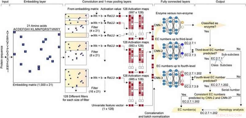 DeepEC: A Deep Learning Framework for Precise Enzyme Function Prediction