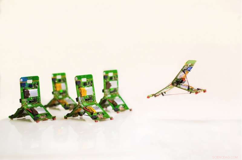 Robotic Ants: Advanced Jumping, Intercommunication, and Collaborative Capabilities