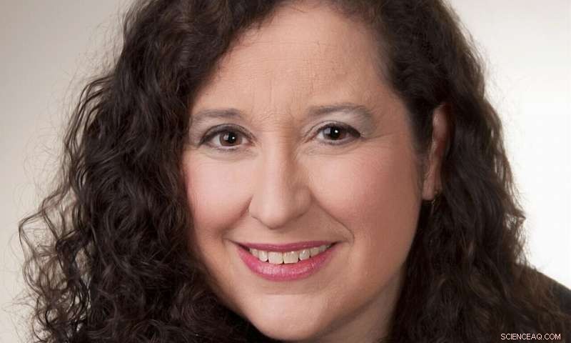 New Framework Enhances Evaluation of Historic Wrought Iron Structures