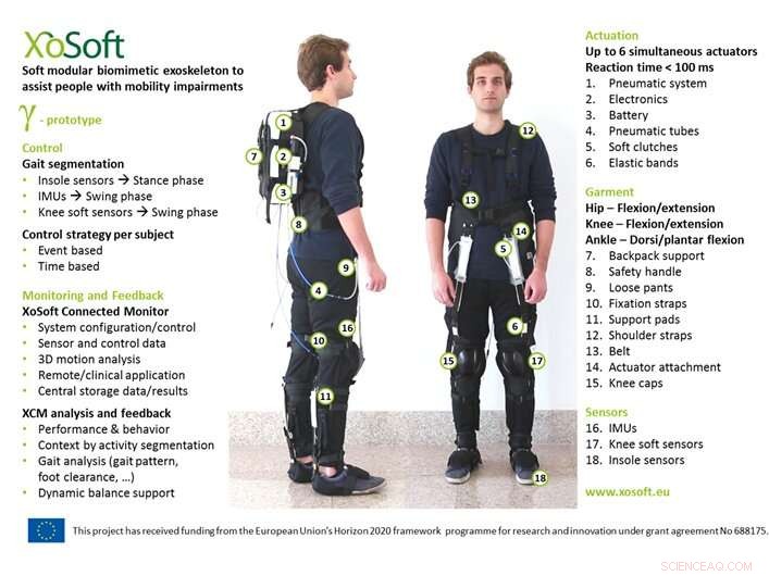 Eco-Friendly Soft Exoskeleton Empowers Mobility for Those with Walking Impairments