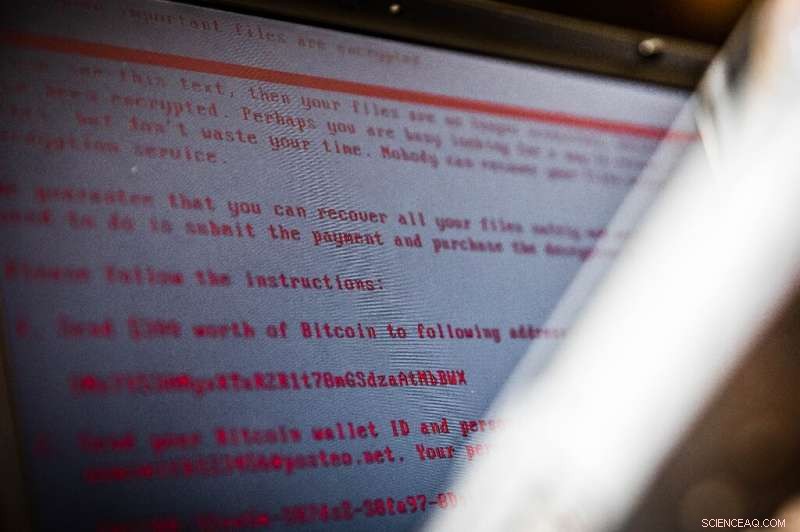Ransomware Surge Spurs Debate Over Optimal Response Strategies