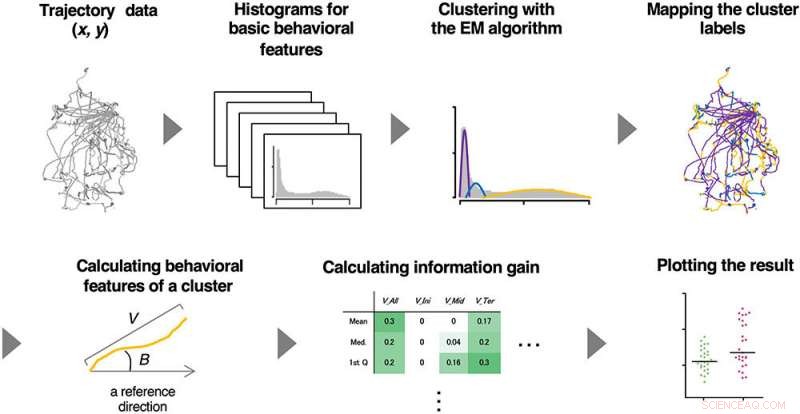 AI Technology Uncovers Animal Behavior Patterns