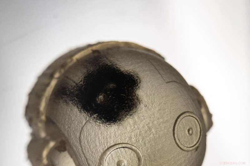 Walking Robots Edge Closer to Reality, Study Reports