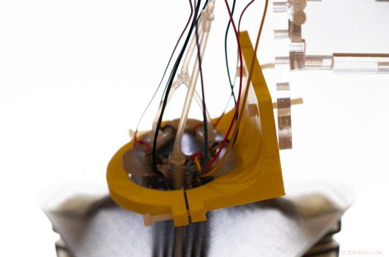 Walking Robots Edge Closer to Reality, Study Reports