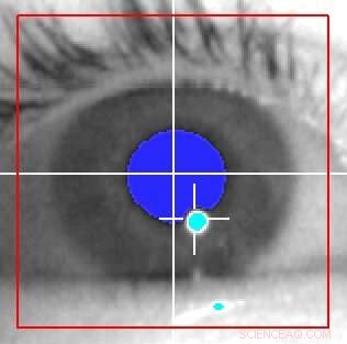 DeepEyeIdentification: Precise Human Recognition Using Micro Eye Movements