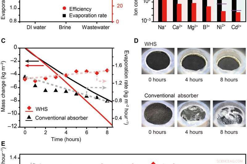 Water‑Lily Inspired Hierarchical Design Boosts Solar Evaporation of High‑Salinity Brine