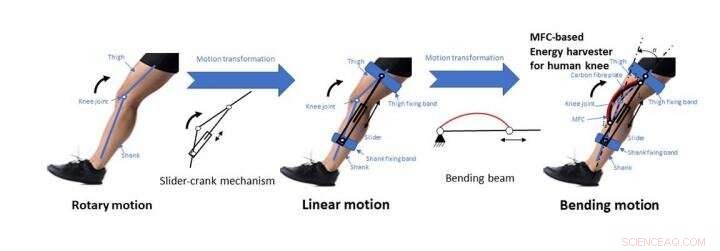 Generating Power from Human Knee Motion: A New Energy Harvesting Technology